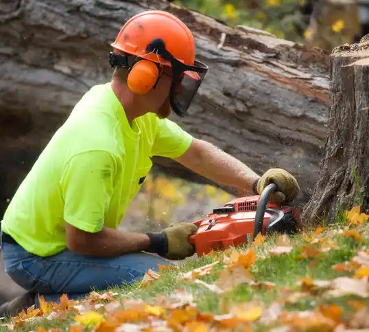 tree services Black River